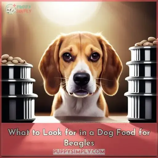 What to Look for in a Dog Food for Beagles
