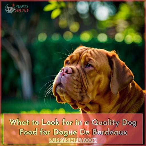 What to Look for in a Quality Dog Food for Dogue De Bordeaux