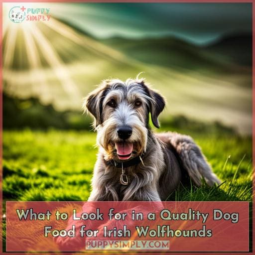 What to Look for in a Quality Dog Food for Irish Wolfhounds