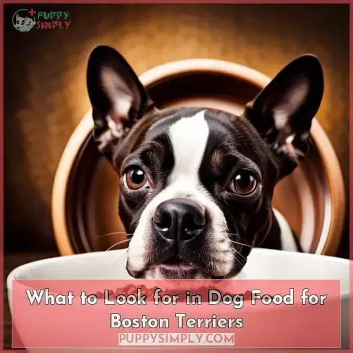 What to Look for in Dog Food for Boston Terriers