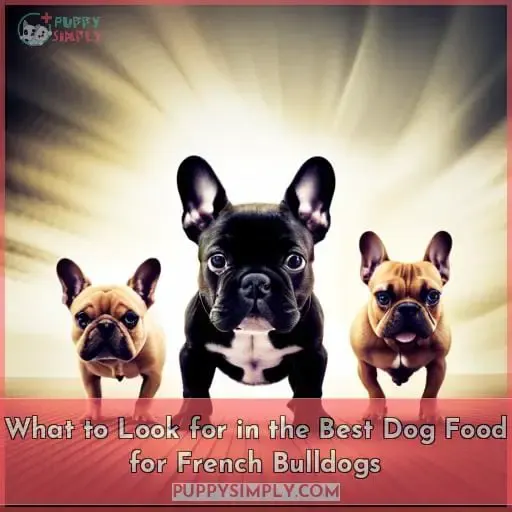 Best Dog Food for French Bulldogs: Top 10 Picks