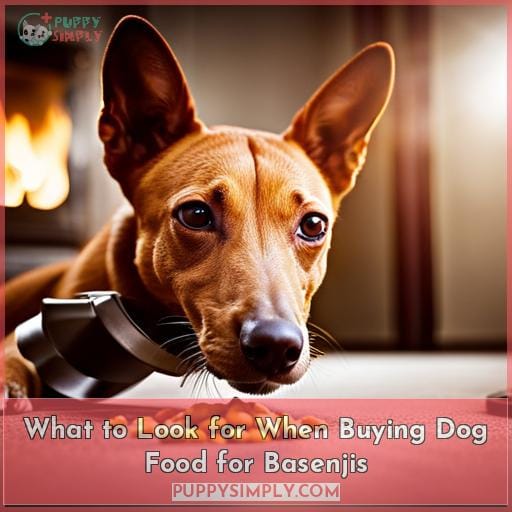 What to Look for When Buying Dog Food for Basenjis