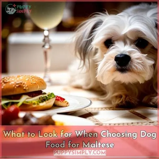 What to Look for When Choosing Dog Food for Maltese