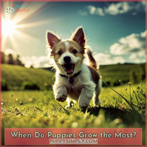 How Fast Do Puppies Grow? Puppy Growth Stages