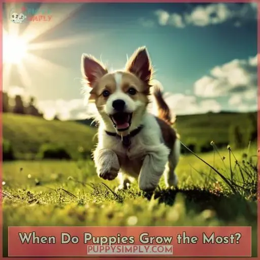 When Do Puppies Grow the Most