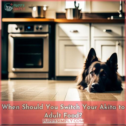 When Should You Switch Your Akita to Adult Food