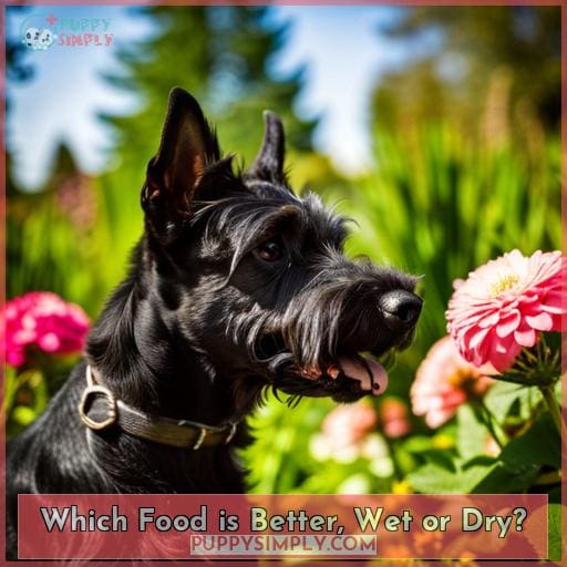 Which Food is Better, Wet or Dry