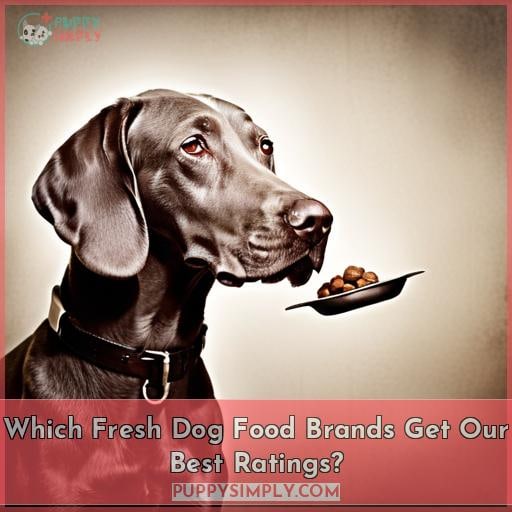 Which Fresh Dog Food Brands Get Our Best Ratings