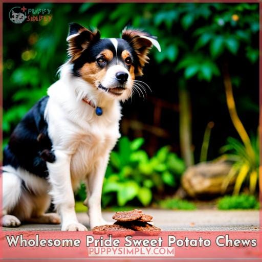 Wholesome Pride Sweet Potato Chews