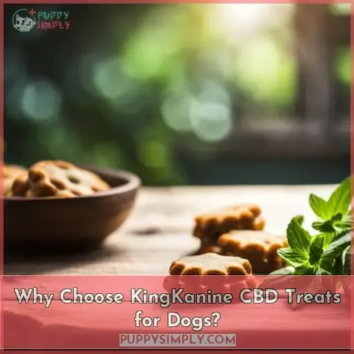 Why Choose KingKanine CBD Treats for Dogs