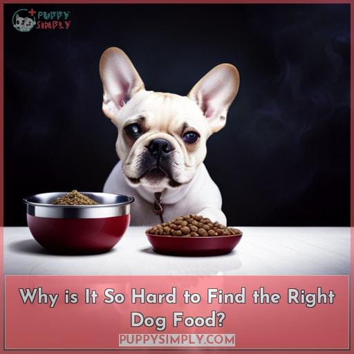 Why is It So Hard to Find the Right Dog Food