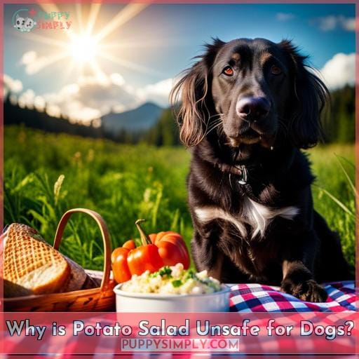 Why is Potato Salad Unsafe for Dogs