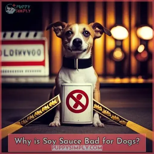 Why is Soy Sauce Bad for Dogs