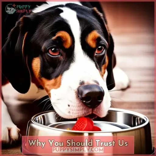 Why You Should Trust Us