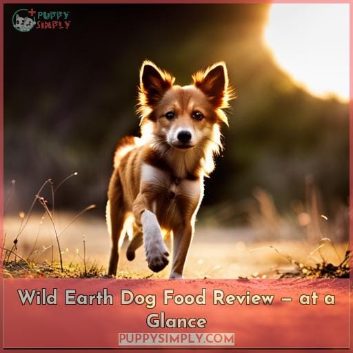 Wild Earth Dog Food Review — at a Glance