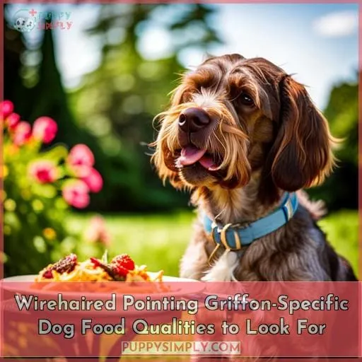 Wirehaired Pointing Griffon-Specific Dog Food Qualities to Look For