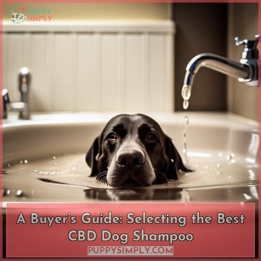A Buyer’s Guide: Selecting the Best CBD Dog Shampoo