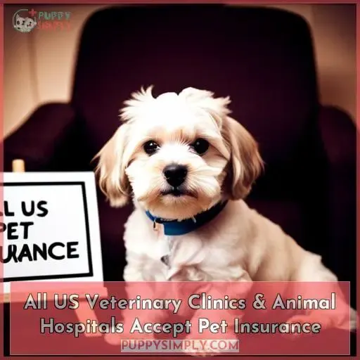 All US Veterinary Clinics & Animal Hospitals Accept Pet Insurance