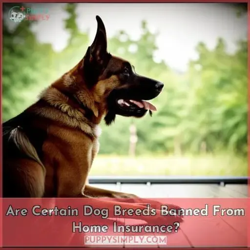Are Certain Dog Breeds Banned From Home Insurance