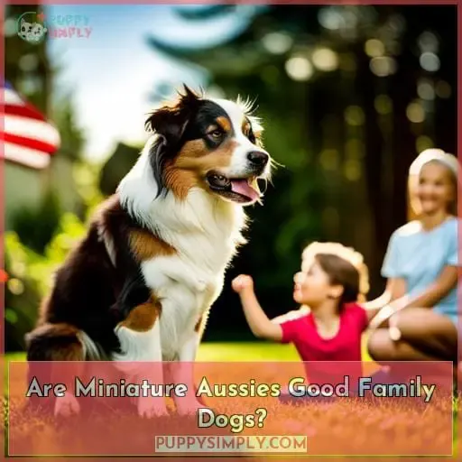 Are Miniature Aussies Good Family Dogs