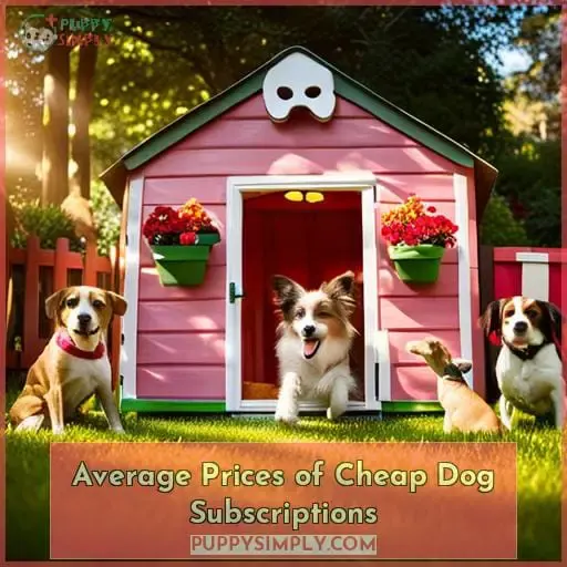 Average Prices of Cheap Dog Subscriptions