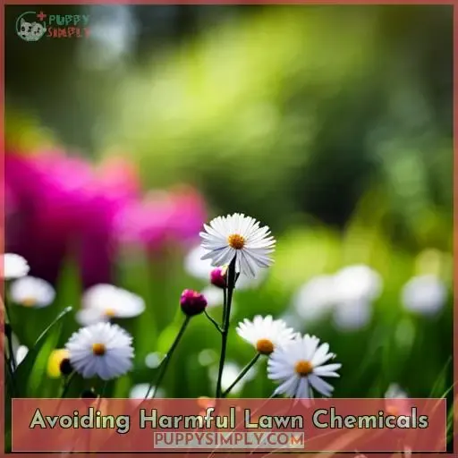 Avoiding Harmful Lawn Chemicals