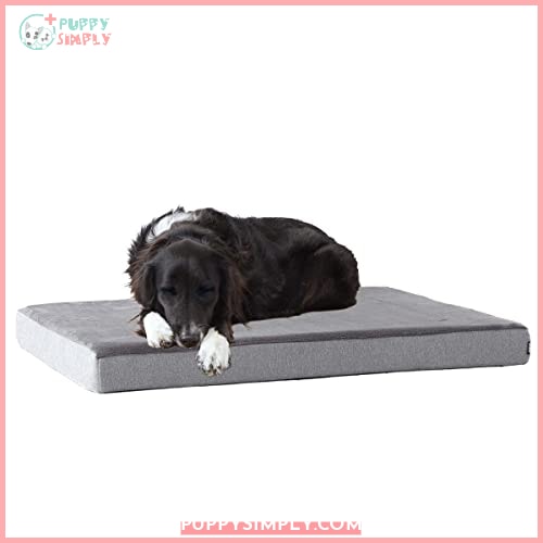 Barkbox Memory Foam Platform Dog