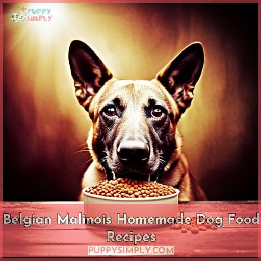 Belgian Malinois Homemade Dog Food Recipes