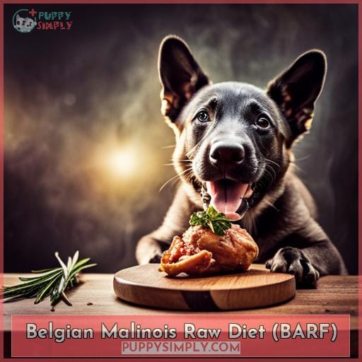 Belgian Malinois Raw Diet (BARF)