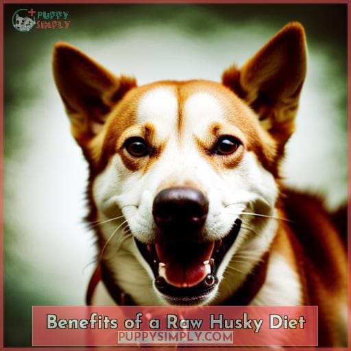Benefits of a Raw Husky Diet