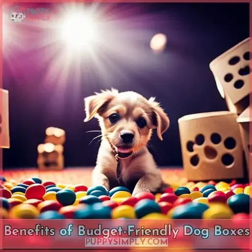 Benefits of Budget-Friendly Dog Boxes