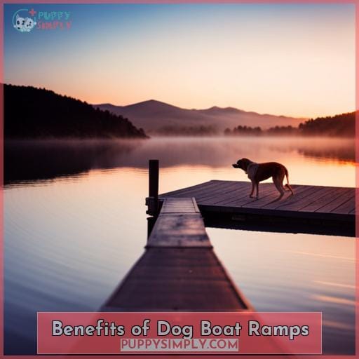 Benefits of Dog Boat Ramps
