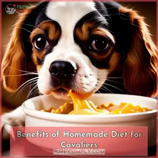 Benefits of Homemade Diet for Cavaliers