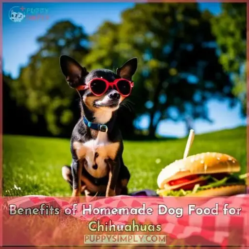 Benefits of Homemade Dog Food for Chihuahuas