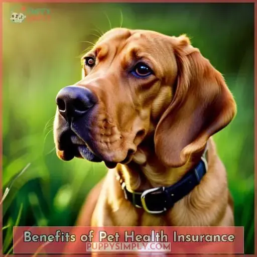 Benefits of Pet Health Insurance