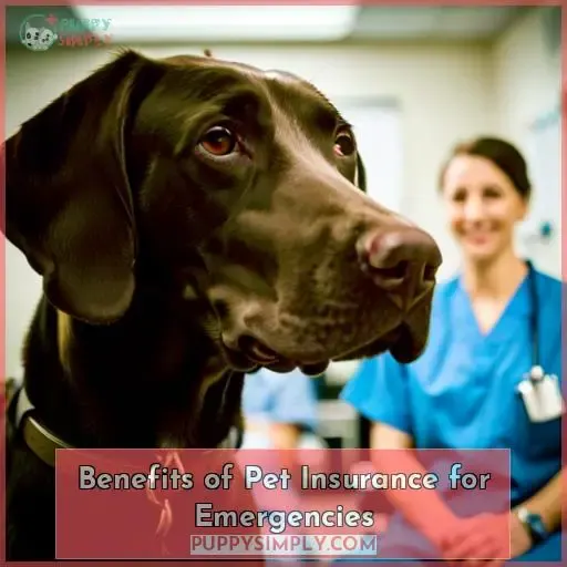 Benefits of Pet Insurance for Emergencies
