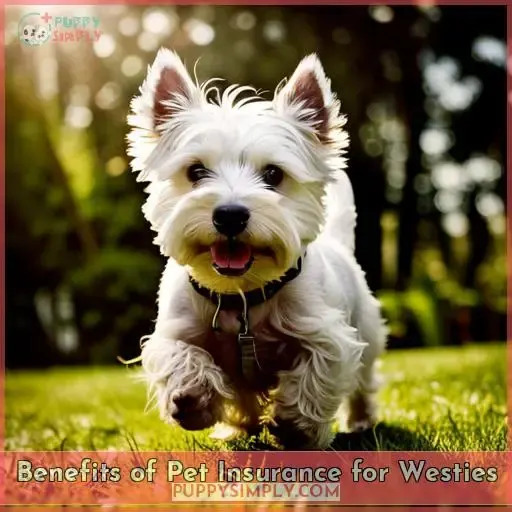 Benefits of Pet Insurance for Westies