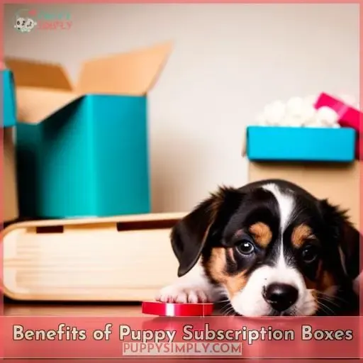 Benefits of Puppy Subscription Boxes