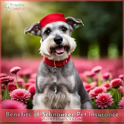 Benefits of Schnauzer Pet Insurance