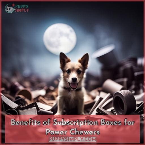 Benefits of Subscription Boxes for Power Chewers
