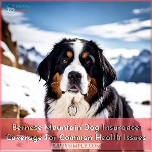 bernese mountain dog pet insurance