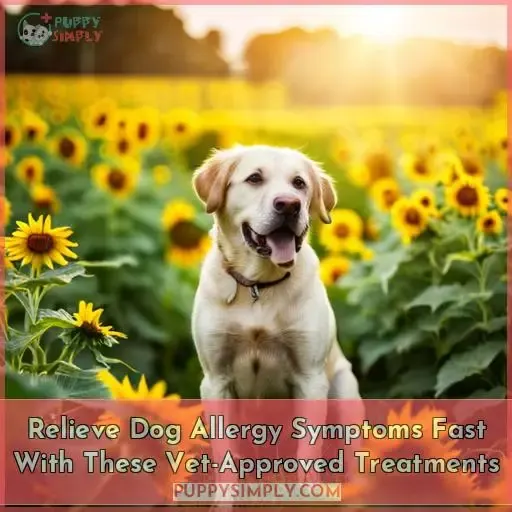 best allergy medicine for dogs