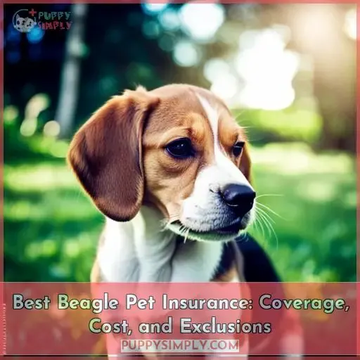 best beagle pet insurance