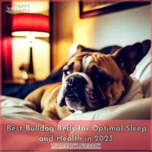 best bulldog beds