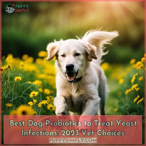 Best Dog Probiotics to Treat Yeast Infections 2023 Vet Choices