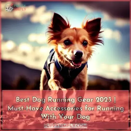 best dog running gear