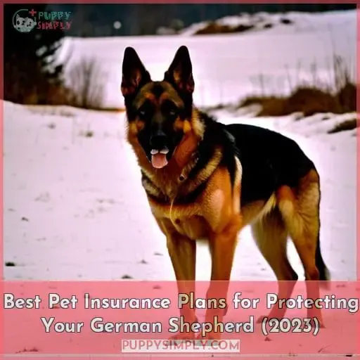 best pet insurance for german shepherds