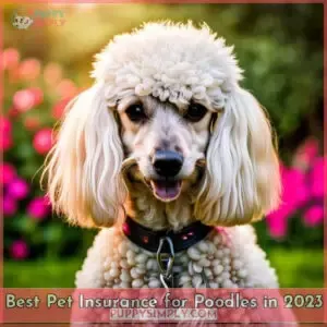 best pet insurance for poodles