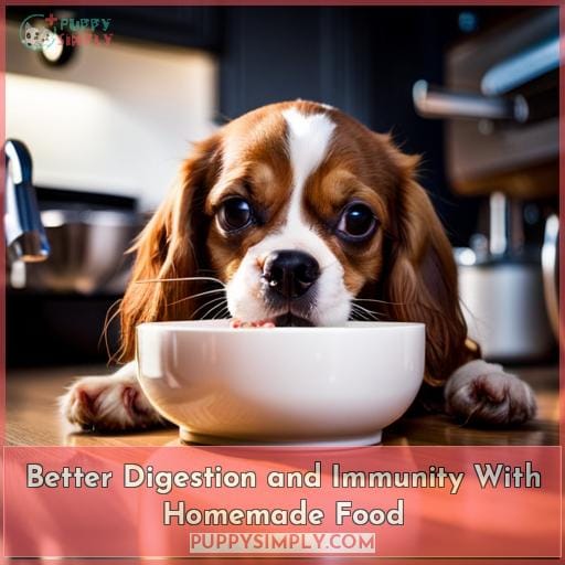 Better Digestion and Immunity With Homemade Food