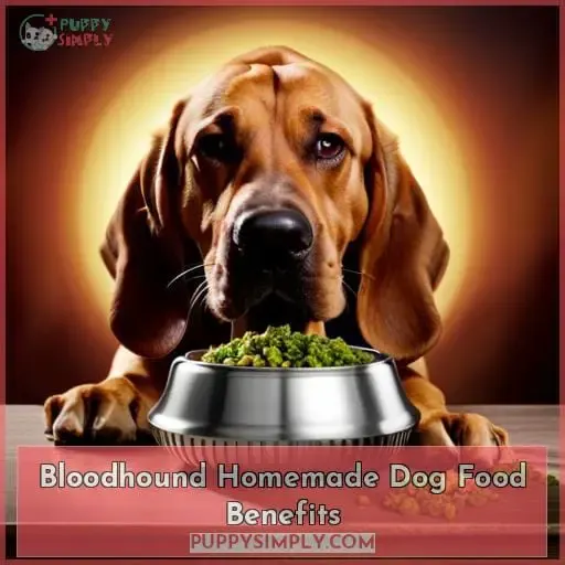 Bloodhound Homemade Dog Food Benefits